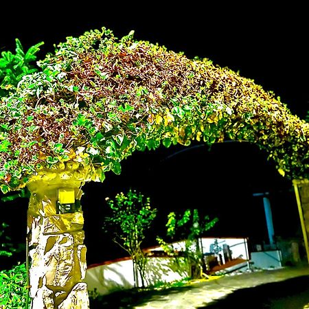 Casa Vacanza Paola Aurigo Zewnętrze zdjęcie